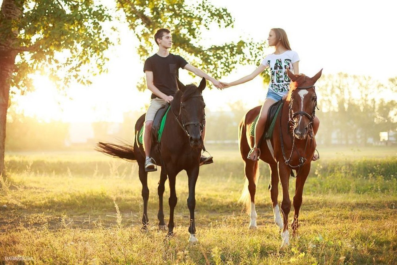 Покататься на коне. Конные прогулки Абрау Дюрсо. Конная прогулка. Фотосессия с лошадьми. Катание на лошадях.