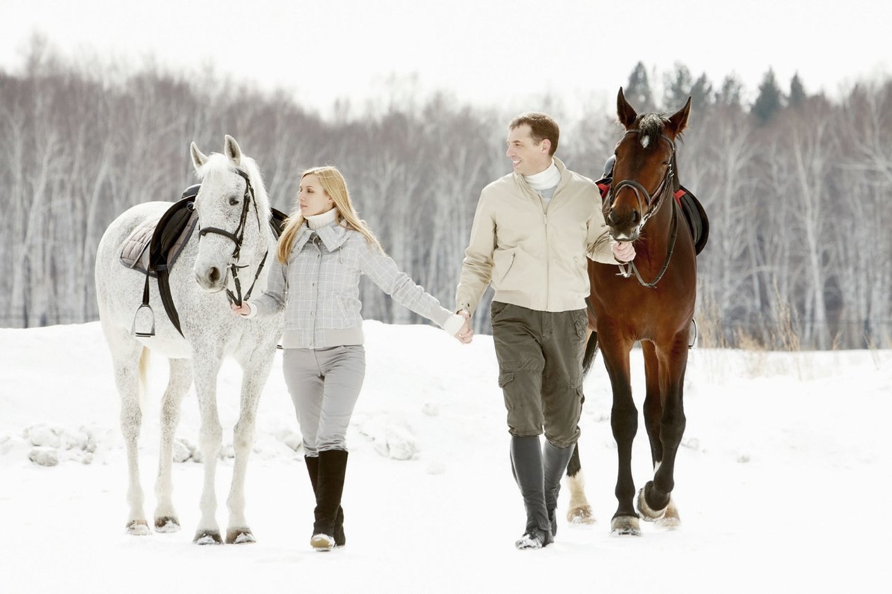 Особенности зимних прогулок на лошадях: советы и рекомендации