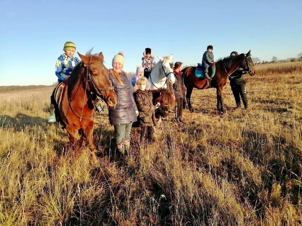 Катание на лошадях для всей семьи: отдохните вместе