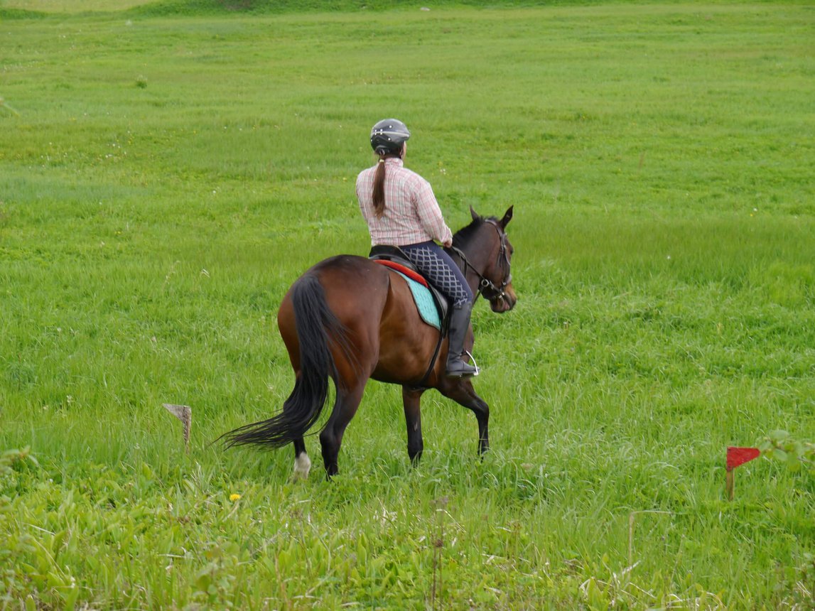 Романтическая прогулка на лошадях для двоих: отдых без суеты