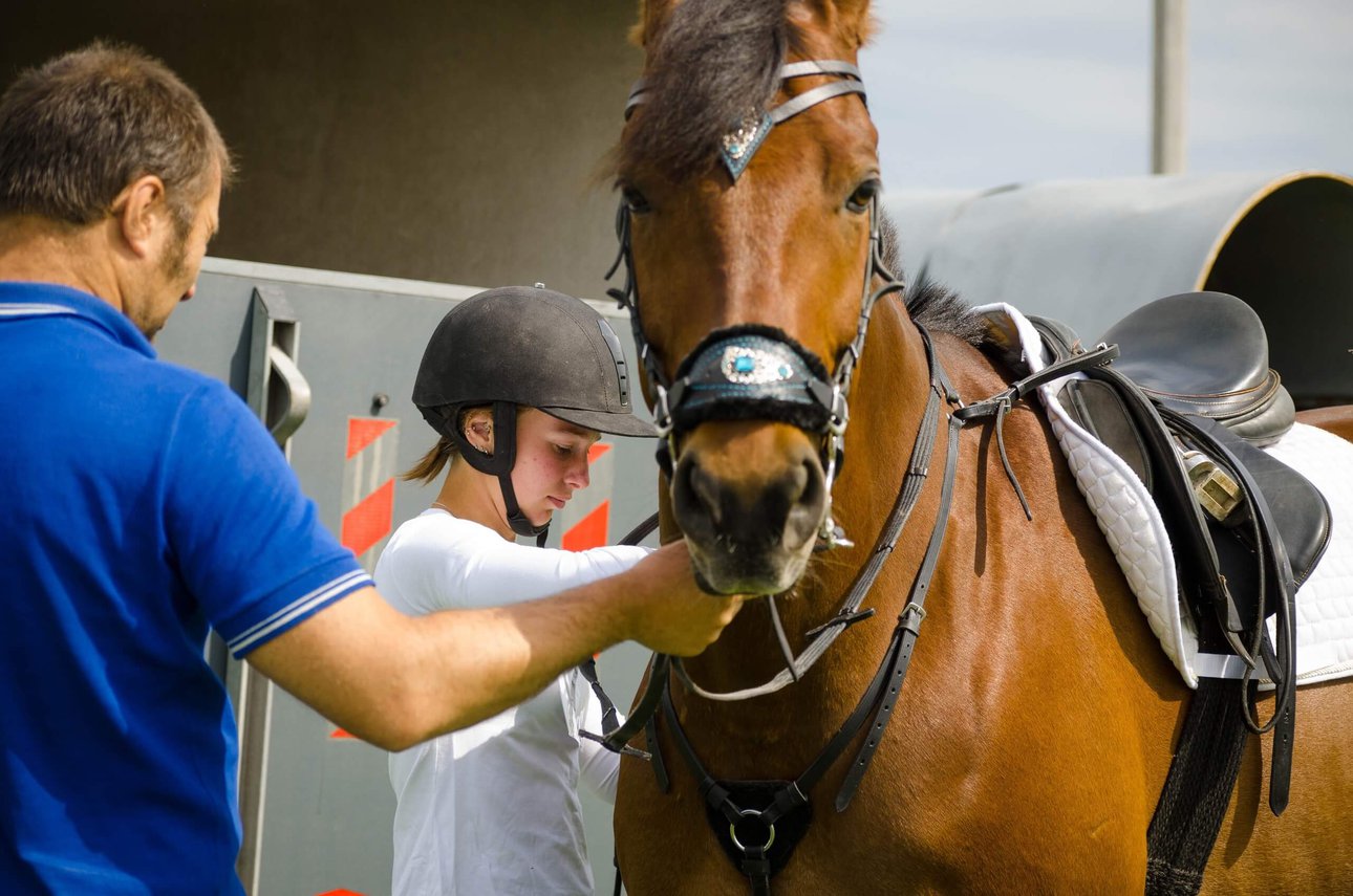 Семейная прогулка на лошадях — детство, которое останется на фото
