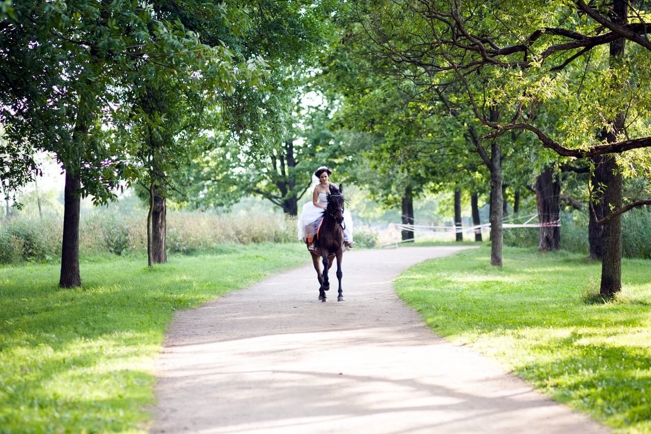 Романтическая верховая прогулка на лошади в природе